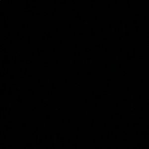 Meet your Posher, Son